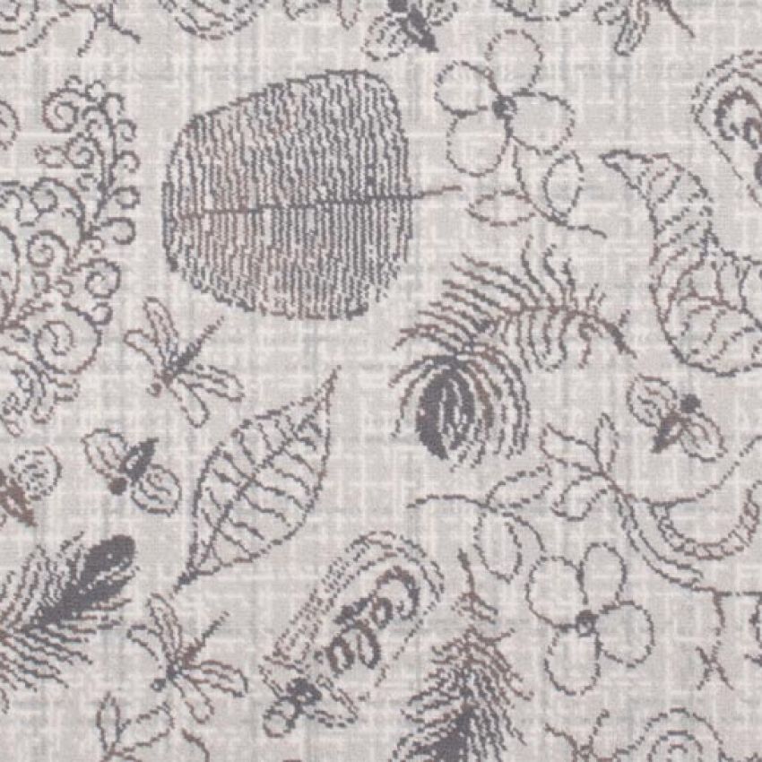 Hazy Days Nature Trail Swansdown