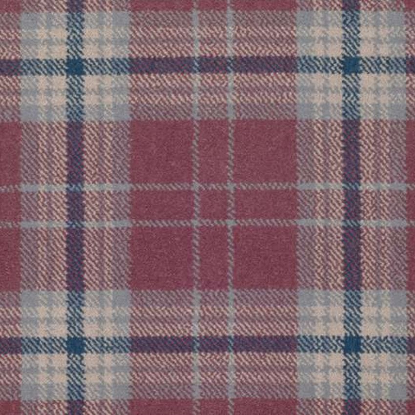 Myth & Moor Blackberry Camp