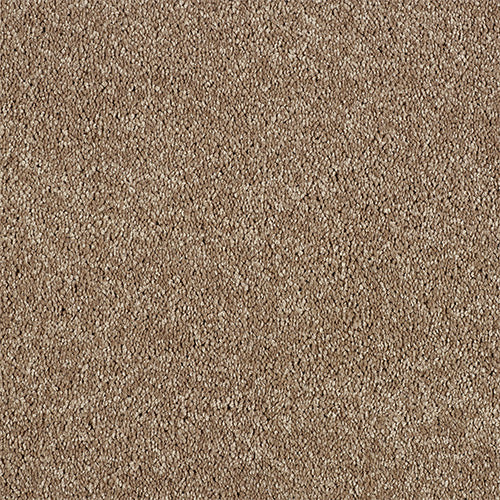 Destiny Velvet Taupe Free Sample