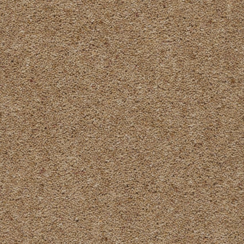 Moorland Twist Honeysuckle Free Sample