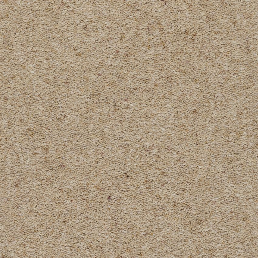 Moorland Twist Golden Globe Free Sample