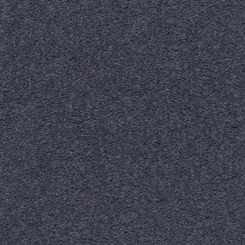 Devonia Discovery Free Sample