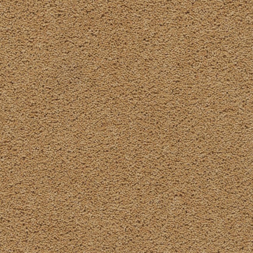 Devonia Sunkissed Free Sample