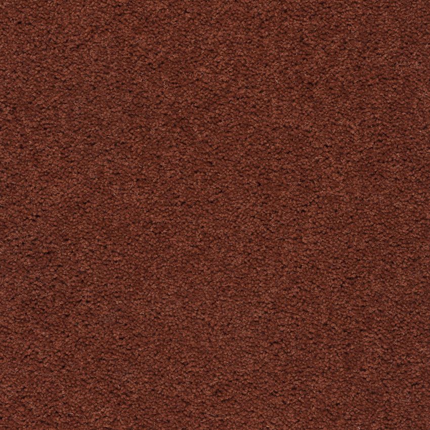 Devonia Autumn Fall Free Sample