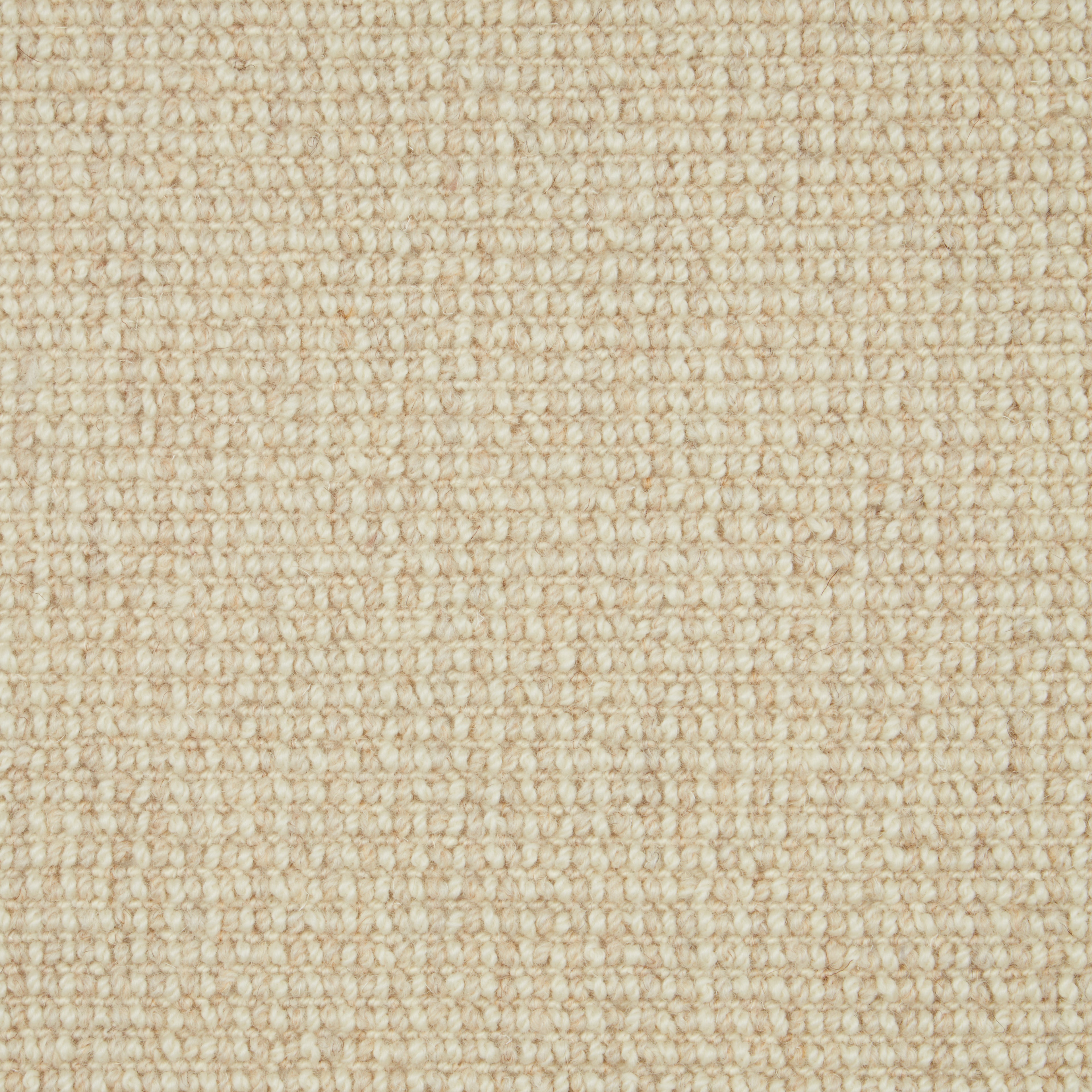 Natural Textures Loop Pile Austen 212