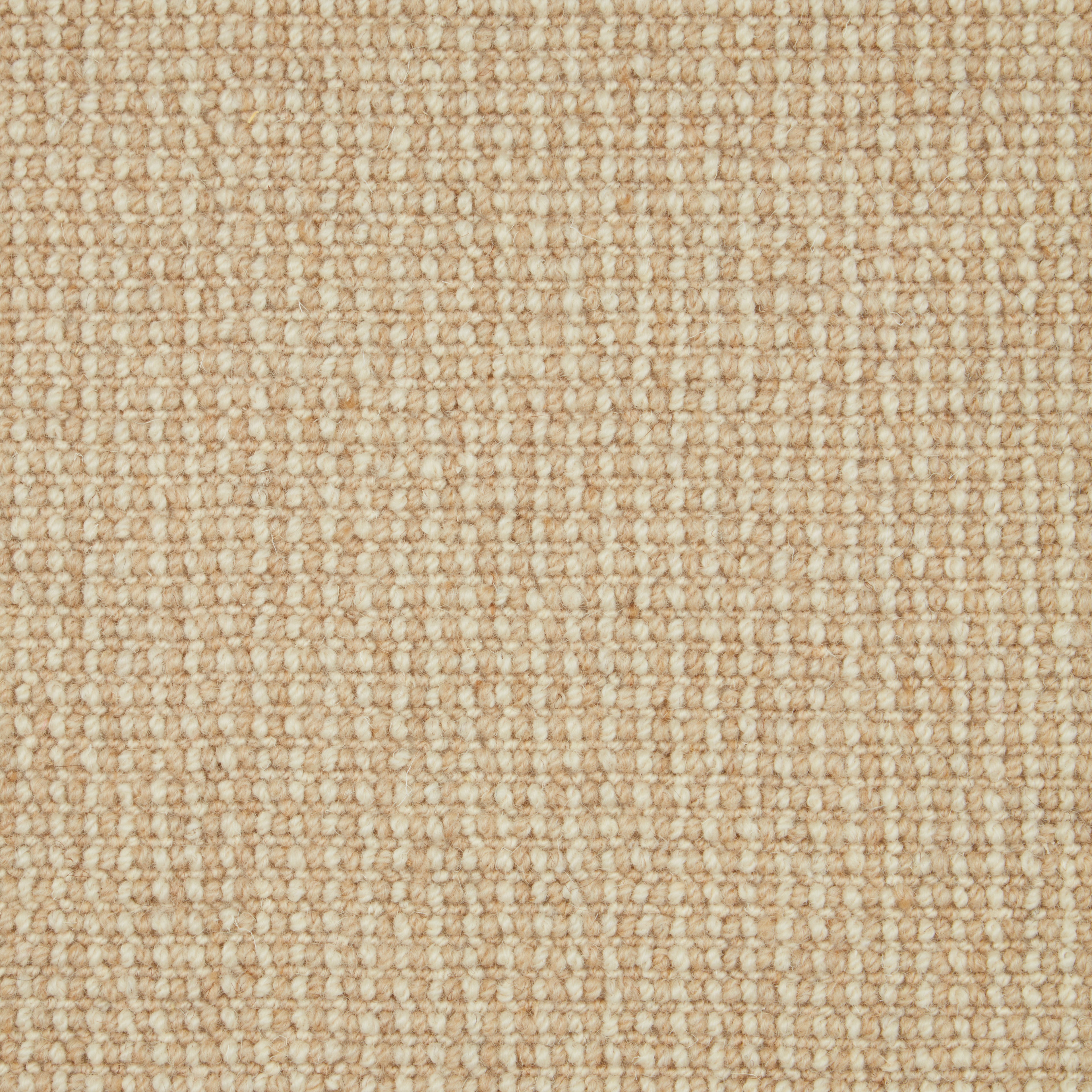 Natural Textures Loop Pile Austen 2244