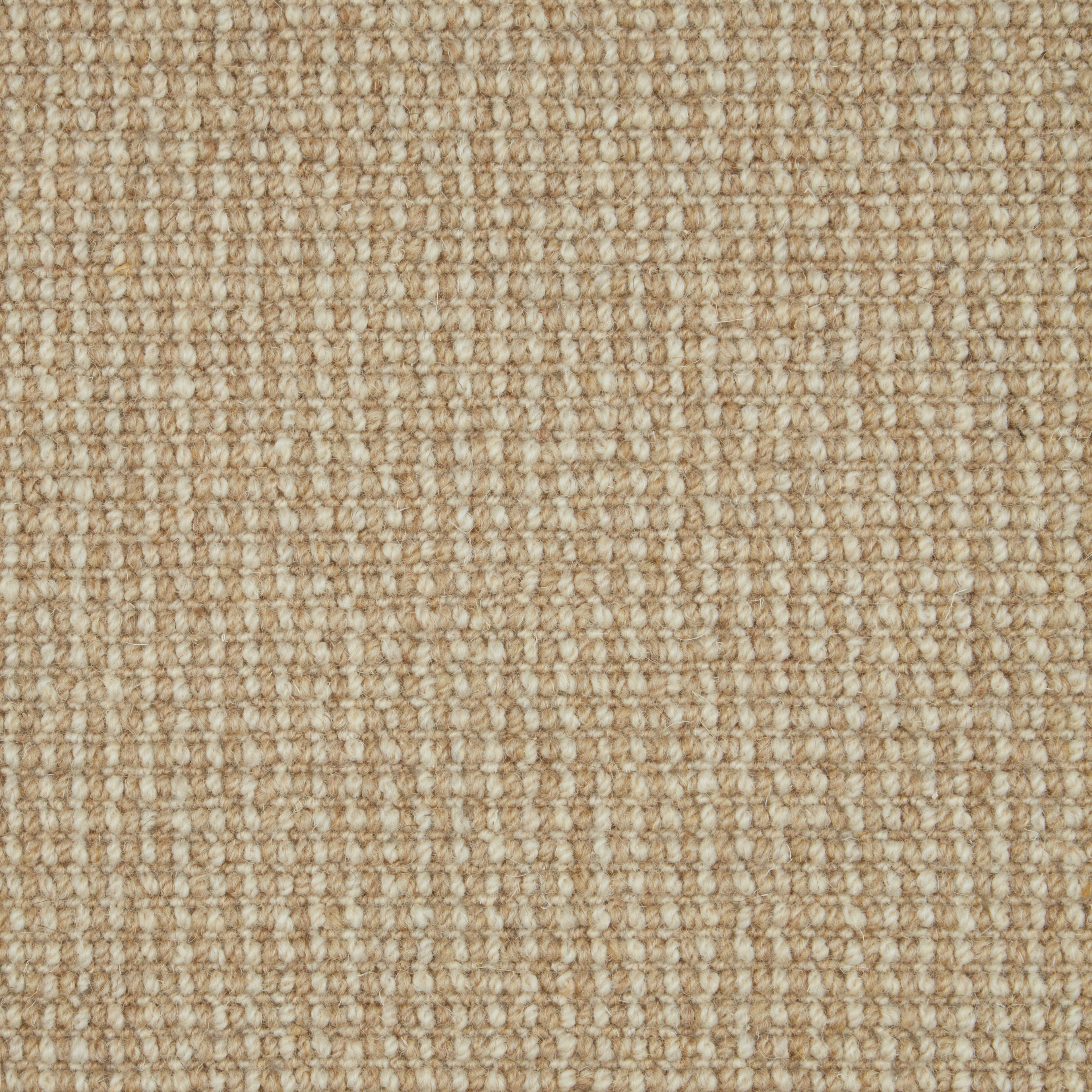 Natural Textures Loop Pile Austen 236