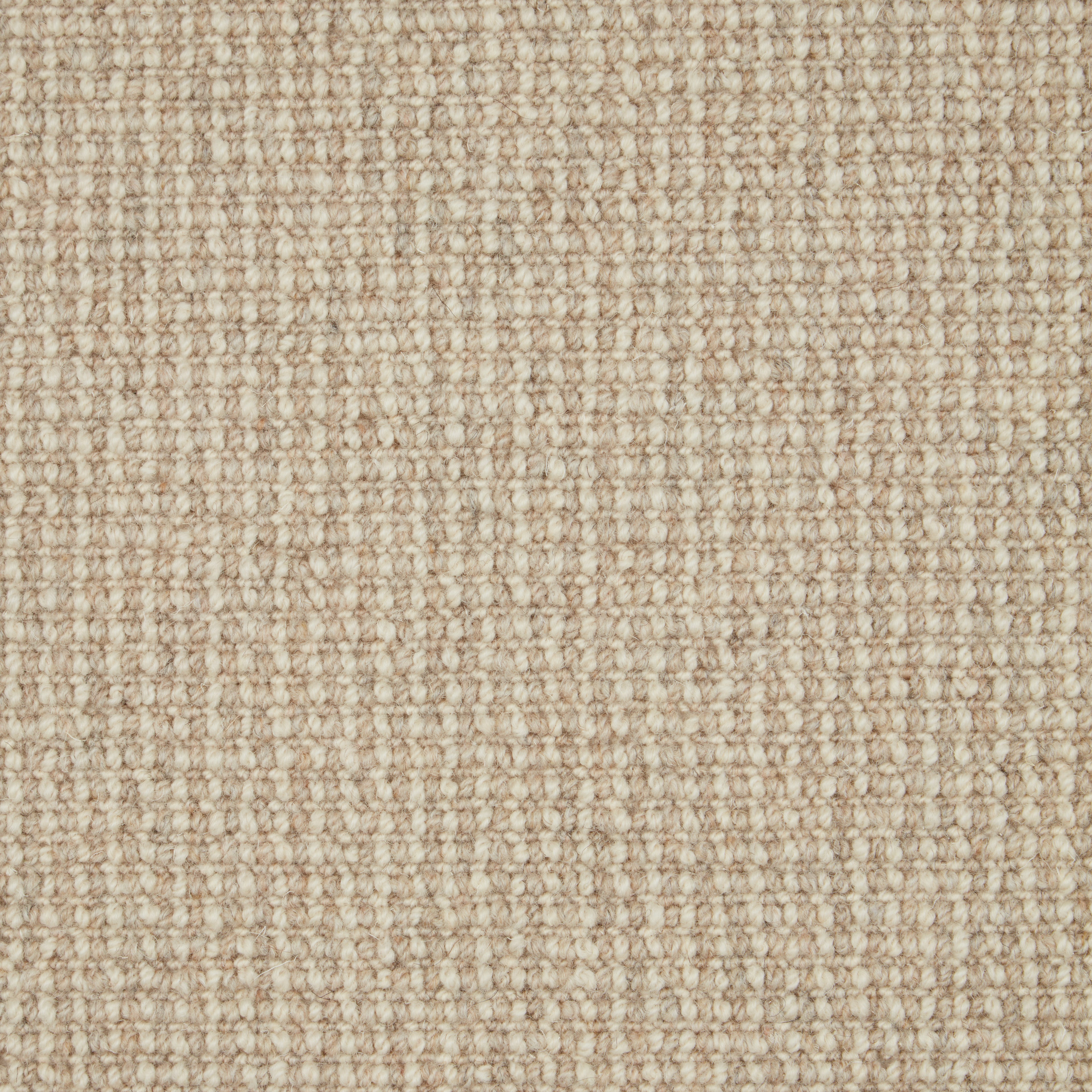 Natural Textures Loop Pile Austen 260