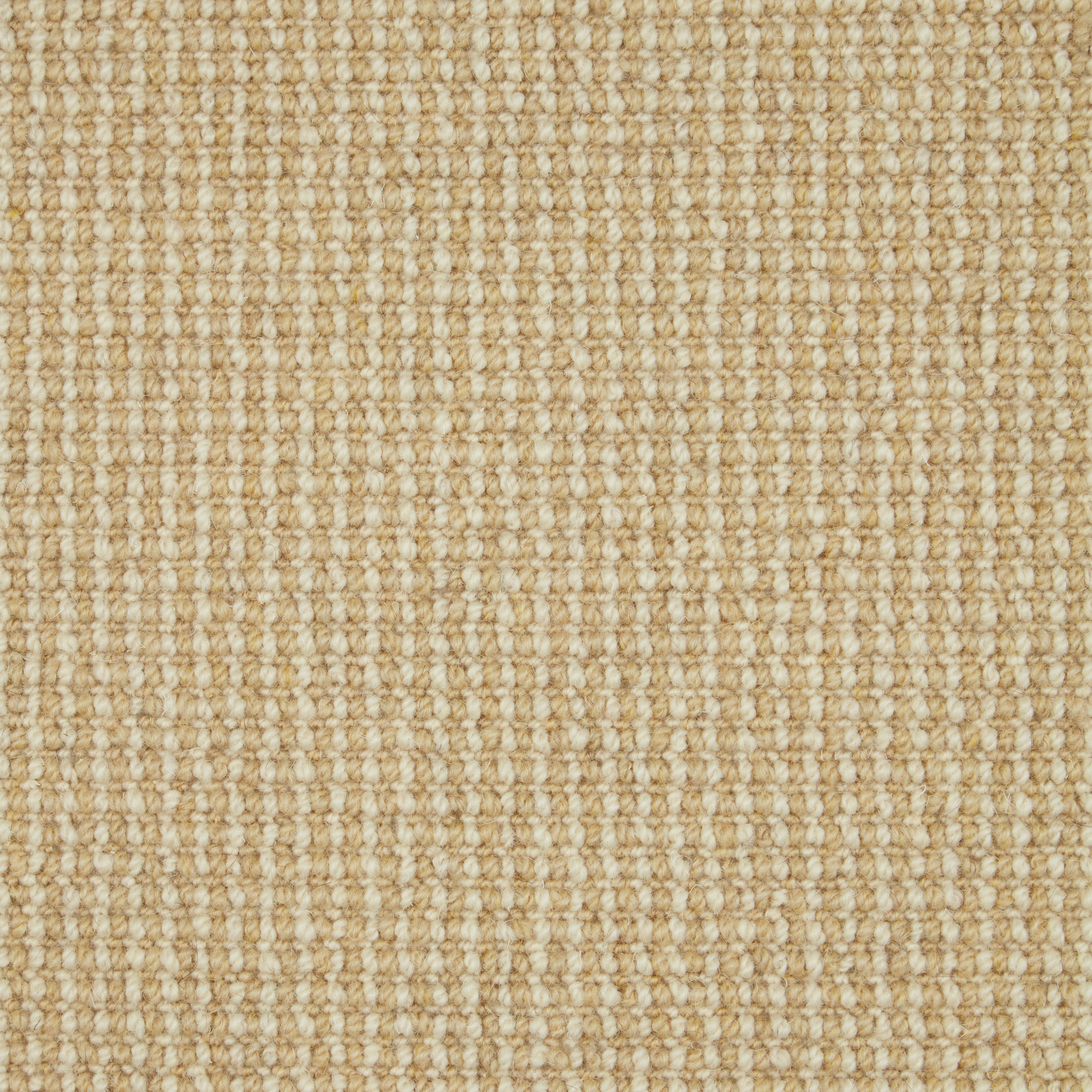 Natural Textures Loop Pile Austen 272
