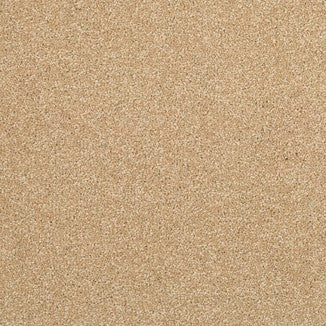 Fine Worcester Twist Bransford Biscuit