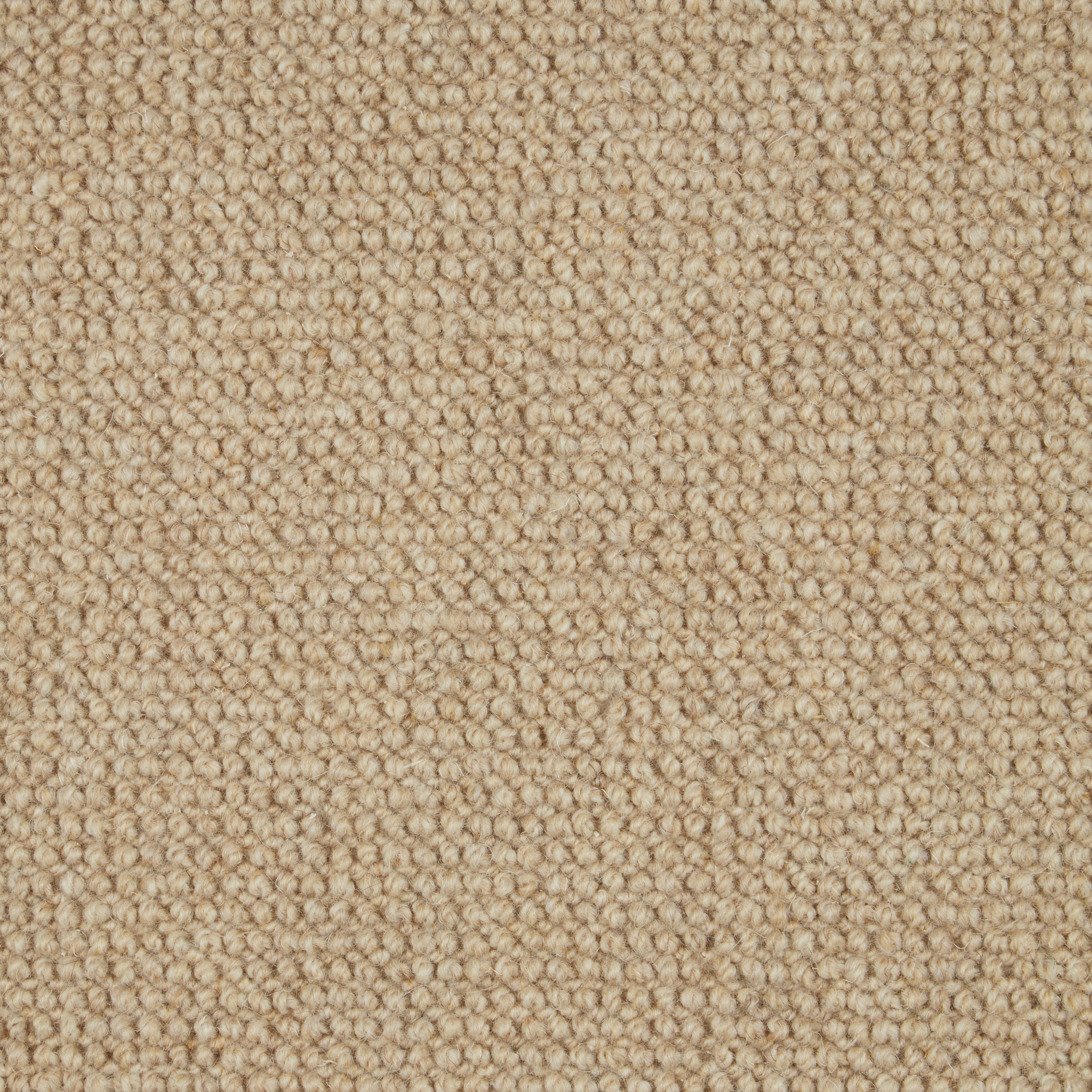 Natural Textures Loop Pile Bronte 111