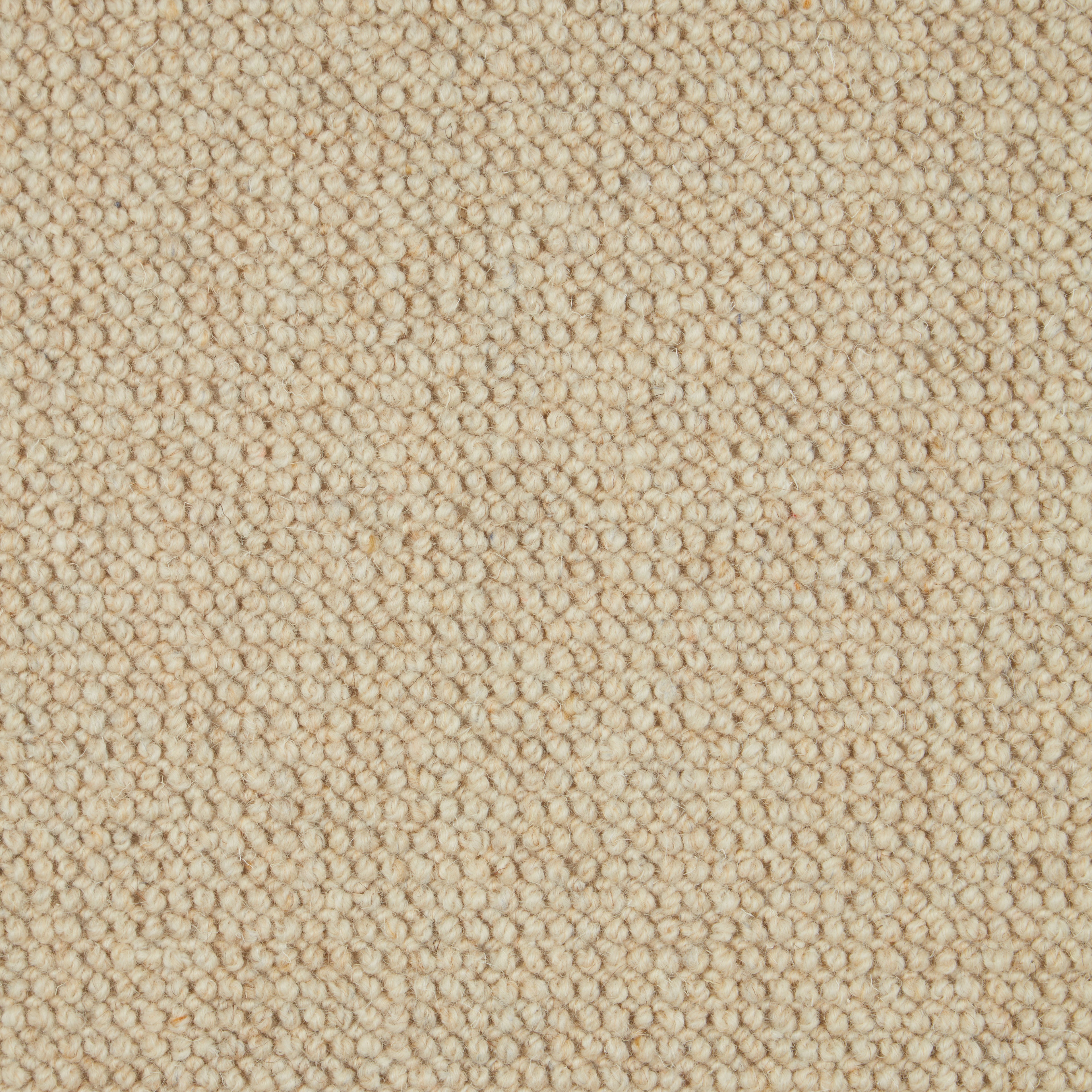 Natural Textures Loop Pile Bronte 122