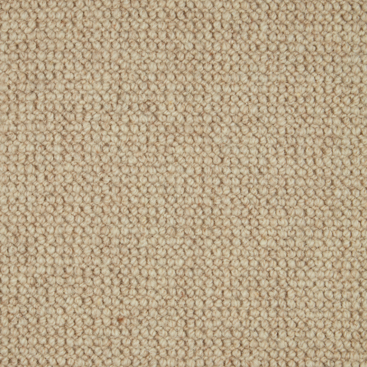 Natural Textures Loop Pile Bronte 166 5.00m x 4.19m