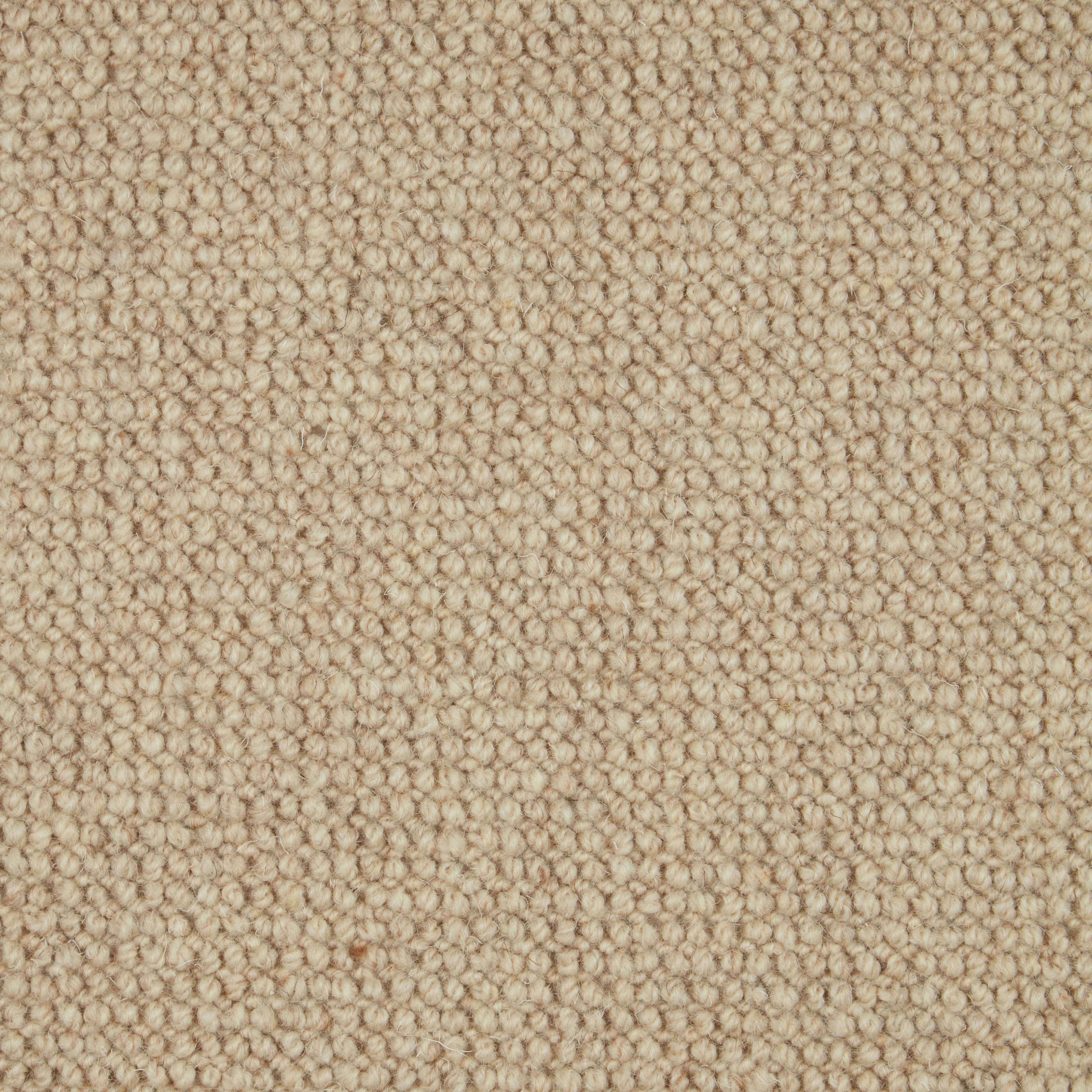 Natural Textures Loop Pile Bronte 166