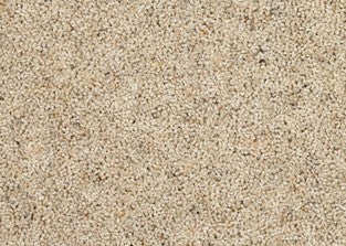 Kasbah Twist 44oz Bukhara 5.00m x 3.21m
