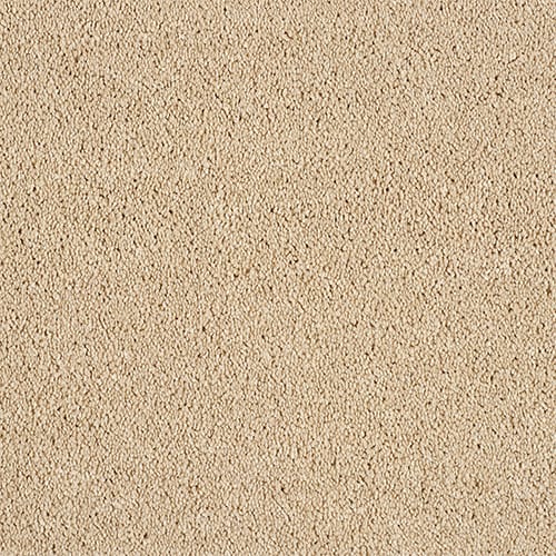 Destiny Caramel Cream Free Sample