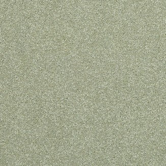 Fine Worcester Twist 50oz Charlton Catkin 4.00m x 2.67m