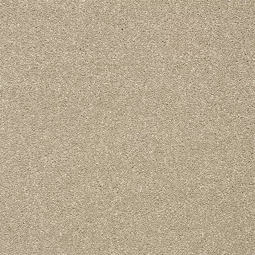 Tisbury Twist Dark Ecru Free Sample