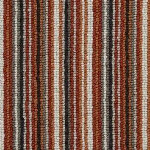 Metro Loop Candy Stripe Grand Canyon Free Sample