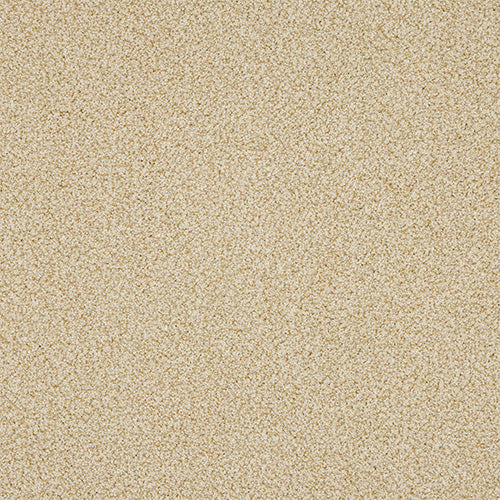 Abbey Berber Twist 60oz Desert Fleece