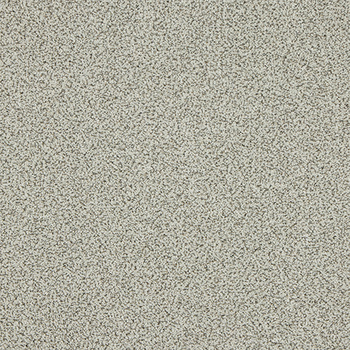 Abbey Berber Twist 60oz Dusty Fossil
