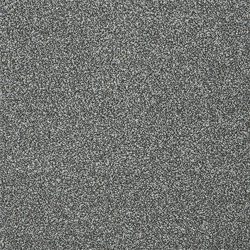 Tisbury Twist Fossil