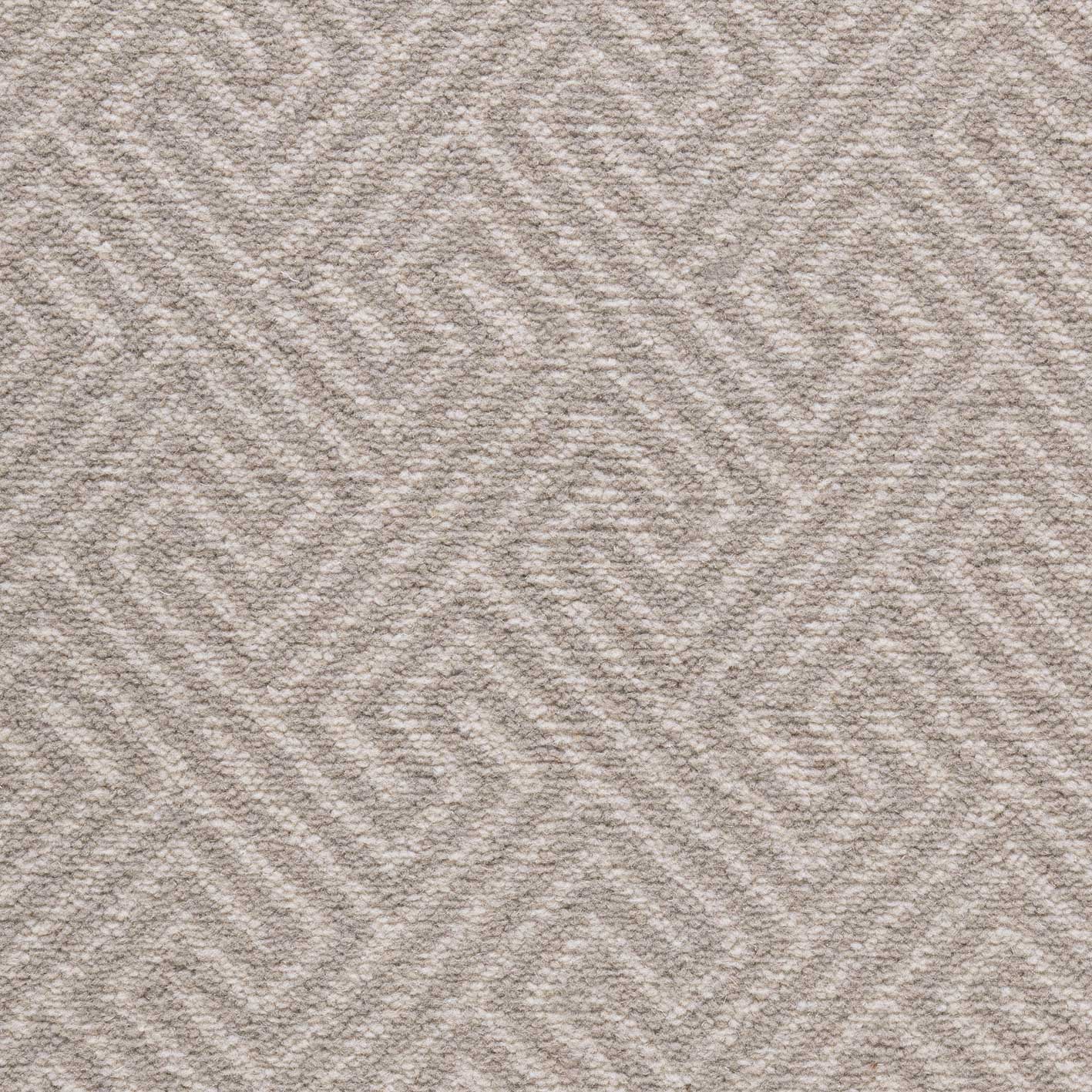 Modern Classics Geometric Ashen Beige Free Sample