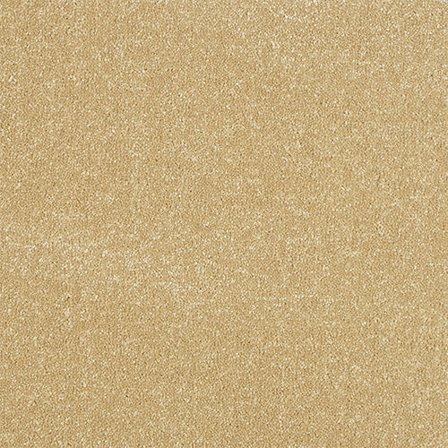 Stainfree Excellence Hampton Free Sample