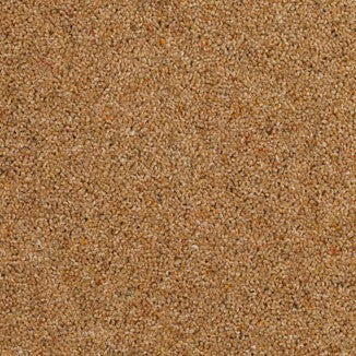 Kasbah Twist Kabul Free Sample