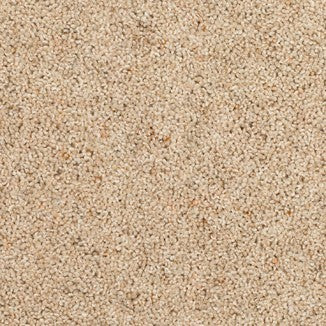 Kasbah Twist Magador Free Sample