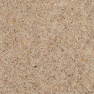 Kasbah Twist Marrakesh Free Sample