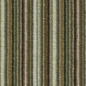 Metro Loop Candy Palm Bay