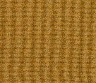 Alderwood Loop Mustard Seed