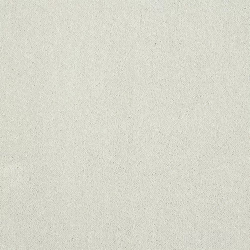 Indulgence Nimbus Cloud Free Sample