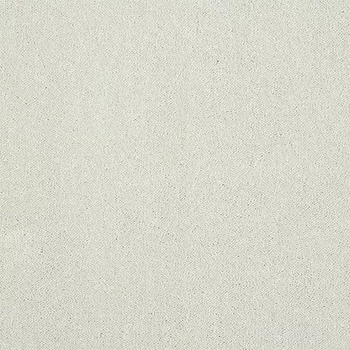 Indulgence Nimbus Cloud