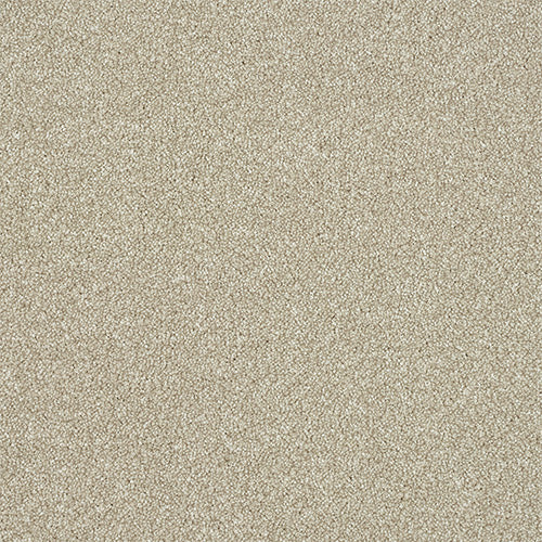 Stainfree Excellence Oat