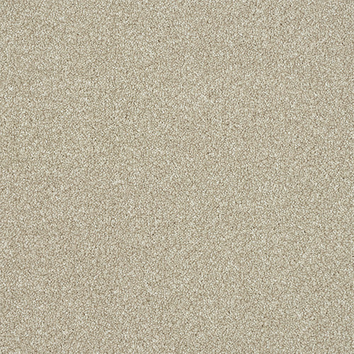 Stainfree Excellence Oat Free Sample