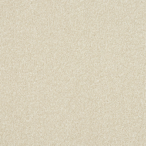 Stainfree Excellence Powder