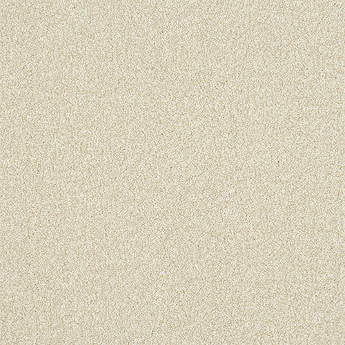 Stainfree Excellence 40oz Powder 4.00m x 3.90m