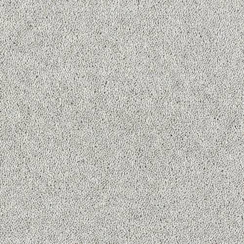 Royal Charter Raindrop Free Sample