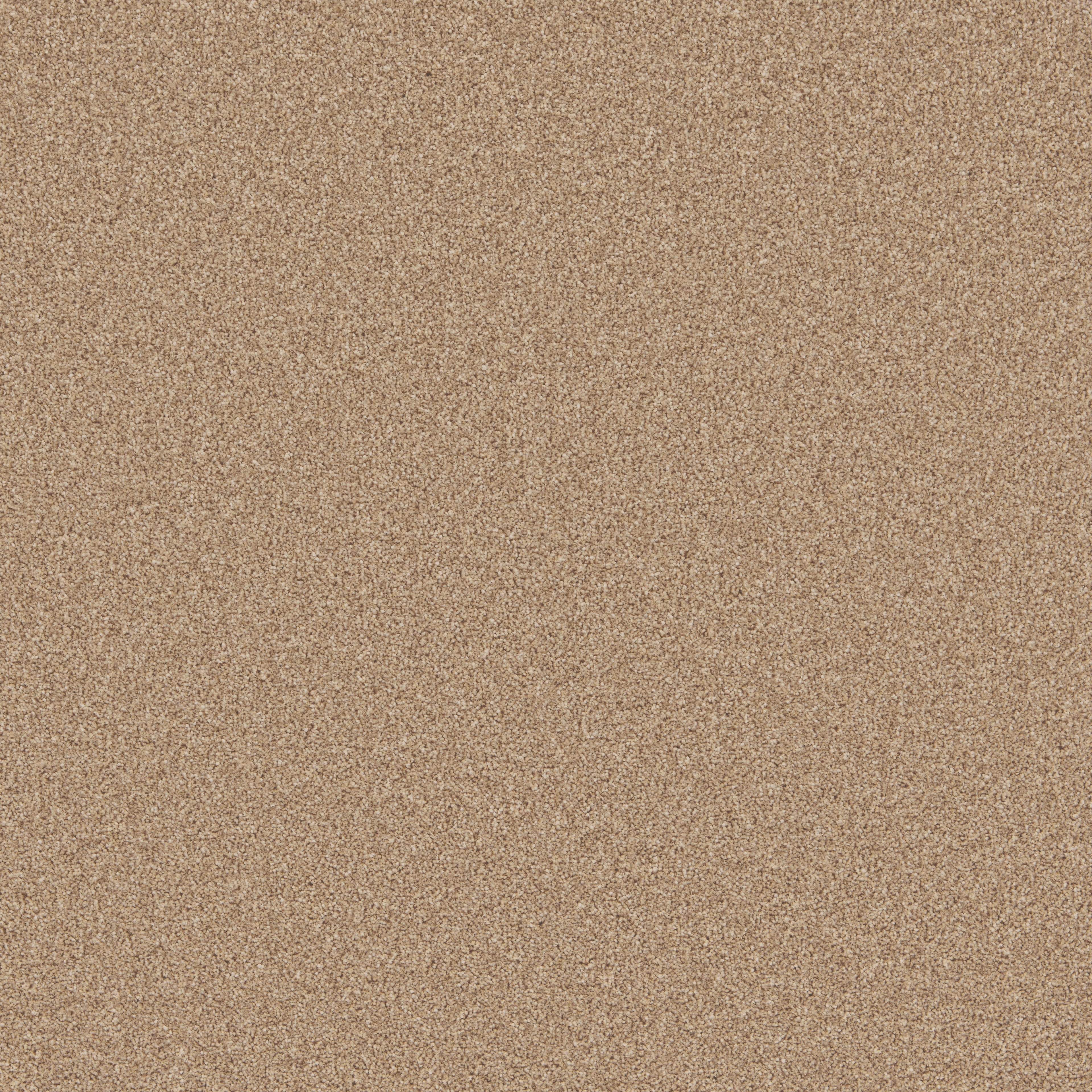 Rusticana Sandstone