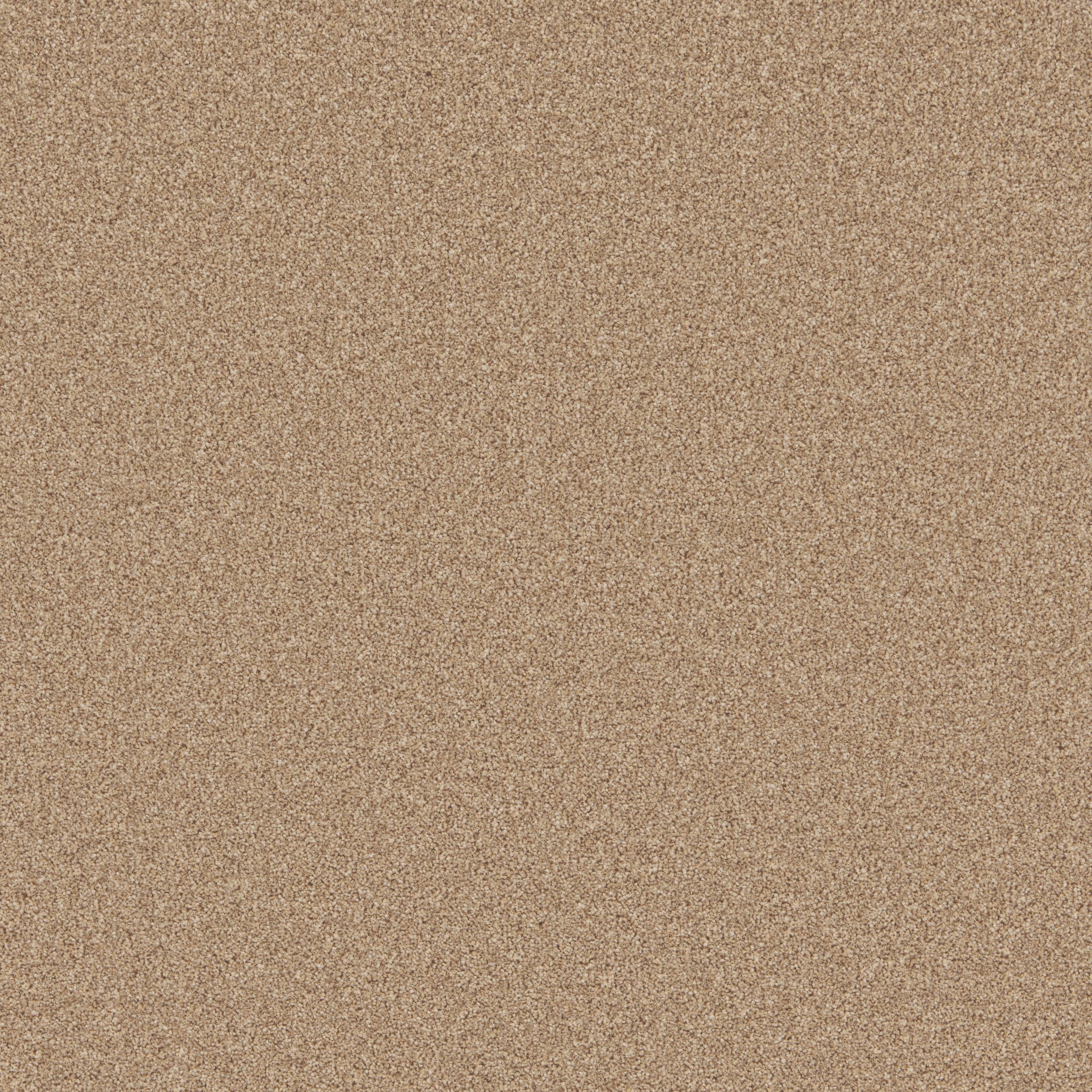 Rusticana Sandstone Free Sample