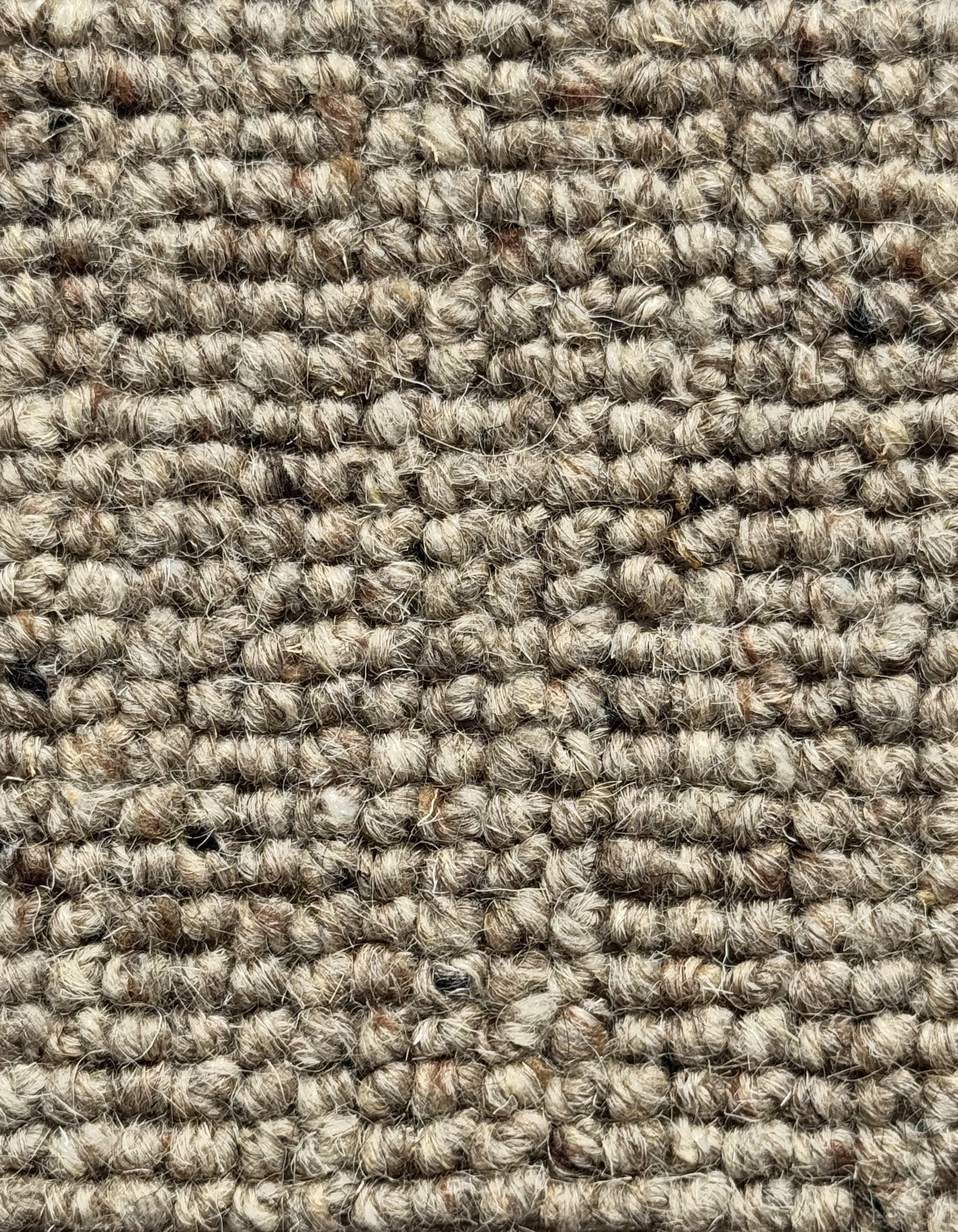 Titan Berber Level Loop Shingle