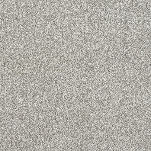 Stainfree Excellence 40oz Soft Shadow 4.00m x 8.20m