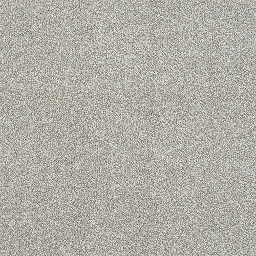 Stainfree Excellence Soft Shadow Free Sample