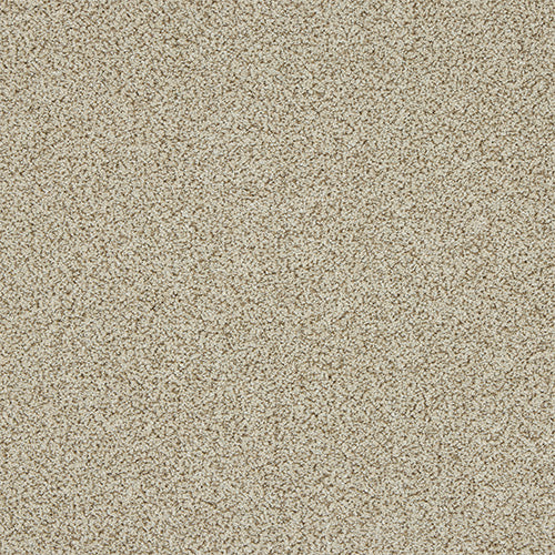 Abbey Berber Twist 60oz Toasted Oat