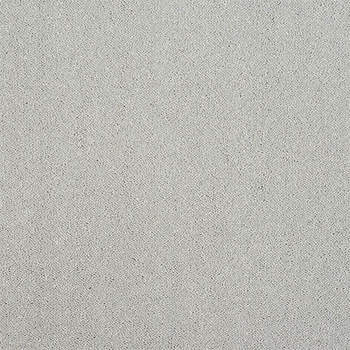 Indulgence Tundra Frost Free Sample