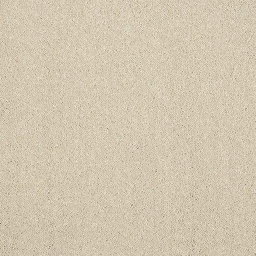 Indulgence 63oz Turtle Dove 100% Manmade 4.00m x 4.35m