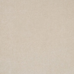 Salcombe Deluxe Vanilla Cream