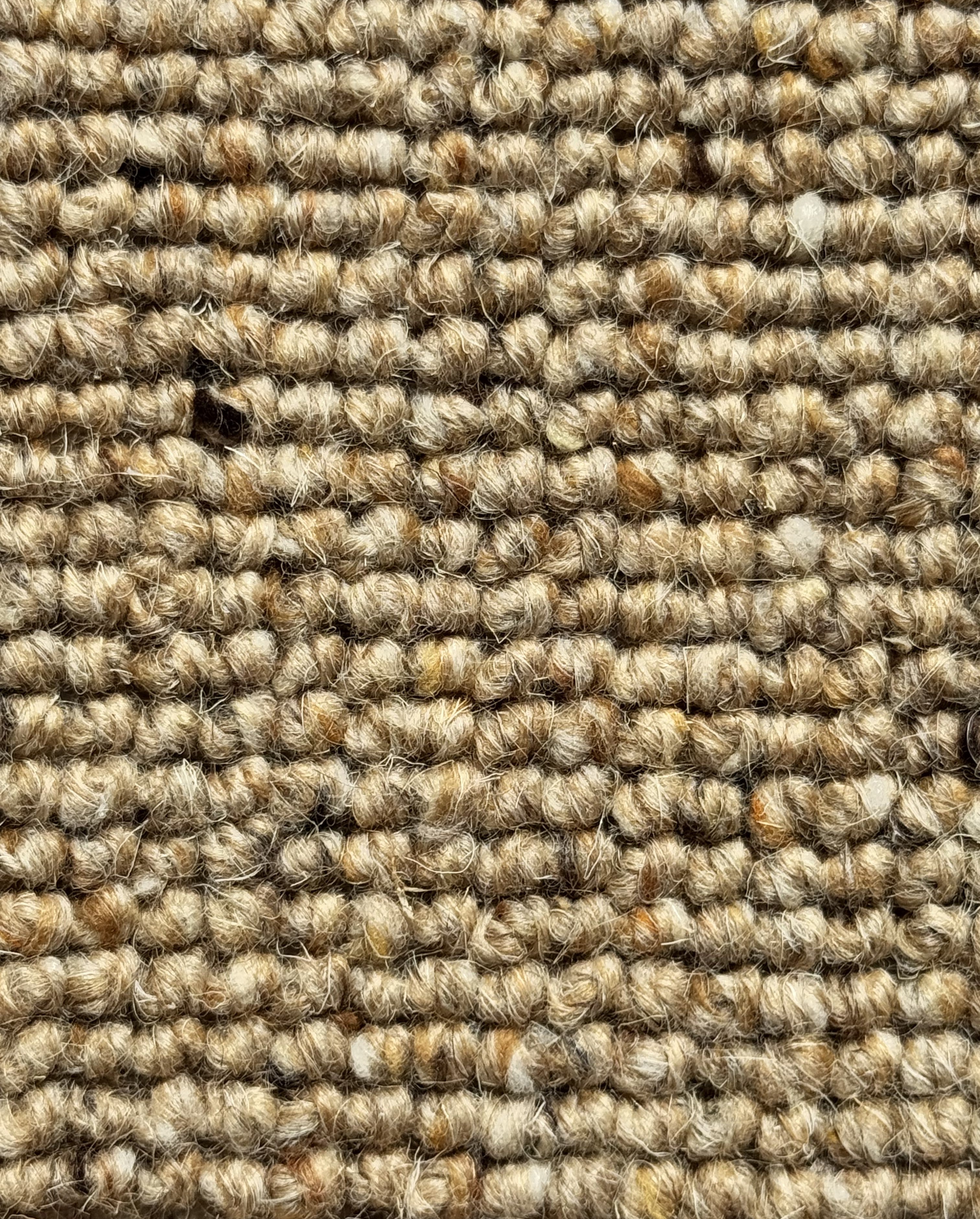 Titan Berber Level Loop Wheatsheaf